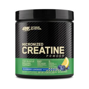 Optimum Nutrition Micronized Creatine Powder Unflavored 300g